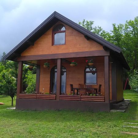Villa Carobni Breg à Golubac Extérieur photo