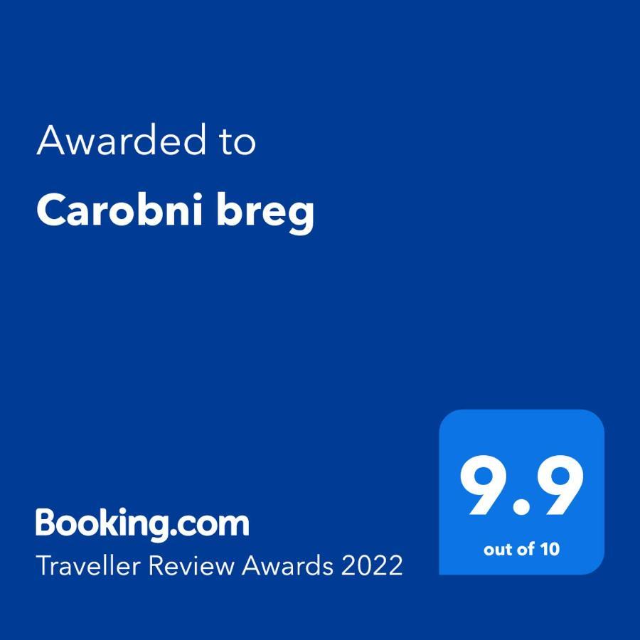 Villa Carobni Breg à Golubac Extérieur photo