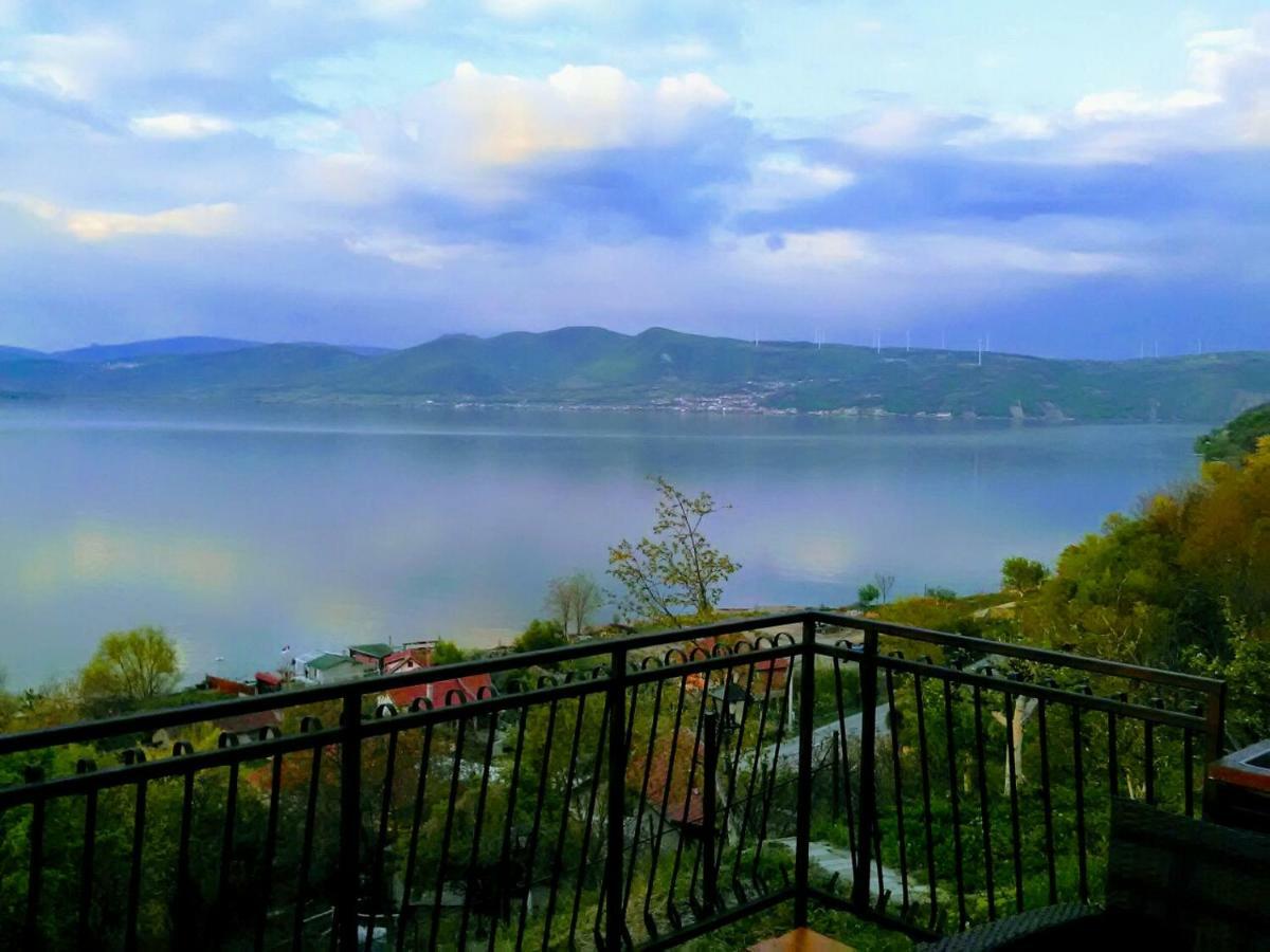Villa Carobni Breg à Golubac Extérieur photo