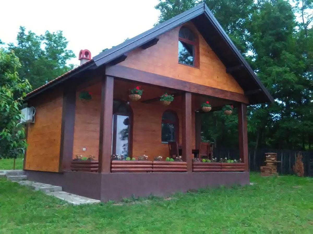 Villa Carobni Breg à Golubac Extérieur photo