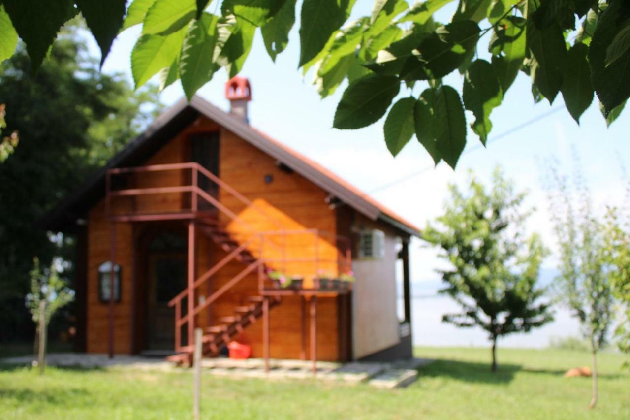 Villa Carobni Breg à Golubac Extérieur photo