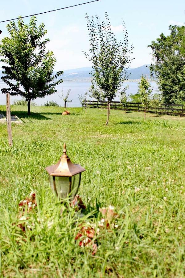 Villa Carobni Breg à Golubac Extérieur photo